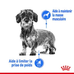 Royal Canin - Sachets Ultra Light En Mousse Pour Chien - 12X85g -Chats Chiens Articles Magasin 68378