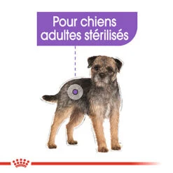 Royal Canin - Sachets Sterilised En Mousse Pour Chien - 12X85g 12 Royal Canin - Sachets Sterilised En Mousse Pour Chien - 12X85g -Chats Chiens Articles Magasin 68383