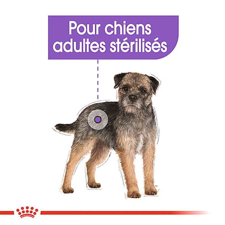 Royal Canin - Sachets Sterilised En Mousse Pour Chien - 12X85g 5 Royal Canin - Sachets Sterilised En Mousse Pour Chien - 12X85g – Image 3