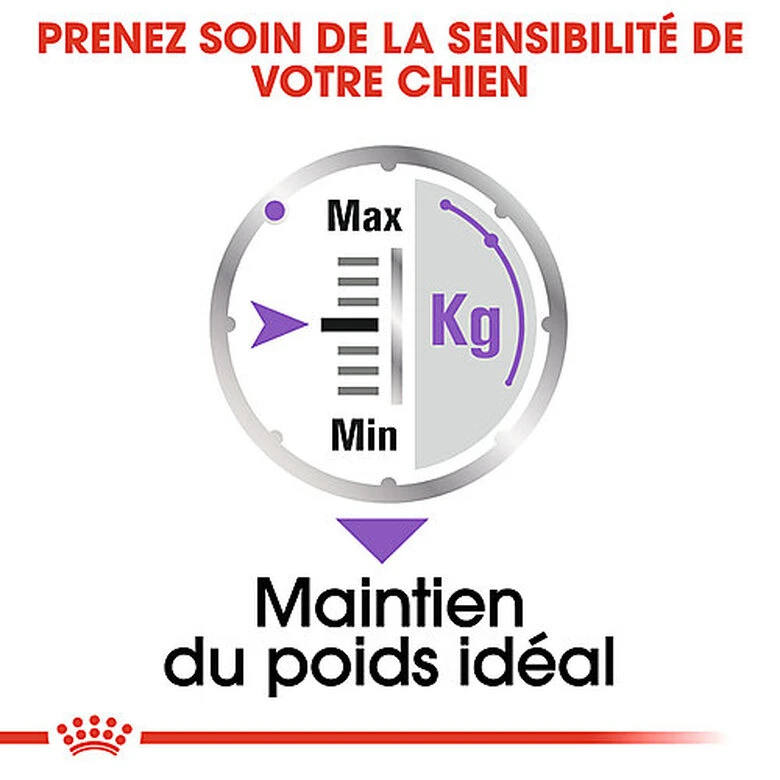 Royal Canin - Sachets Sterilised En Mousse Pour Chien - 12X85g 7 Royal Canin - Sachets Sterilised En Mousse Pour Chien - 12X85g – Image 5