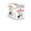 Royal Canin - Sachets Digestive Care En Mousse Pour Chien - 12X85g -Chats Chiens Articles Magasin 68391