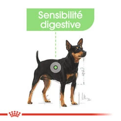 Royal Canin - Sachets Digestive Care En Mousse Pour Chien - 12X85g -Chats Chiens Articles Magasin 68392
