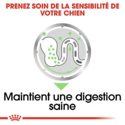 Royal Canin - Sachets Digestive Care En Mousse Pour Chien - 12X85g -Chats Chiens Articles Magasin 68393