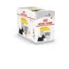 Royal Canin - Sachets Dermacomfort En Mousse Pour Chien - 12X85g -Chats Chiens Articles Magasin 68396