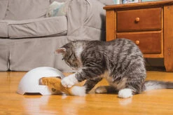 PetSafe - Jouet Terrier Du Renard Foxden Pour Chat - 19cm -Chats Chiens Articles Magasin 68525