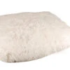 Dog's Fashion - Matelas Denly Déhoussable Blanc Pour Chien - 56x40x13cm 2 Dog's Fashion - Matelas Denly Déhoussable Blanc Pour Chien - 56x40x13cm -Chats Chiens Articles Magasin 68537
