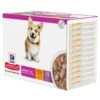 Hill's Science Plan - Sachets Repas Adult Small & Mini Au Poulet Et Bœuf Pour Chien - 12x80g -Chats Chiens Articles Magasin 68922