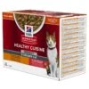 Hill's Science Plan - Sachets Young Adult Healthy Cuisine Au Poulet Et Saumon Pour Chat Stérilisé - 12x80g 1 Hill's Science Plan - Sachets Young Adult Healthy Cuisine Au Poulet Et Saumon Pour Chat Stérilisé - 12x80g -Chats Chiens Articles Magasin 68924