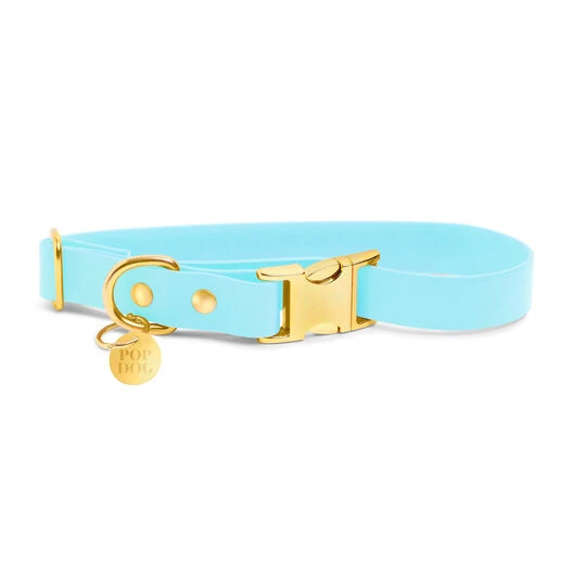 Pop Dog - Collier Dragueur Bleu Pour Chien - L 4 Pop Dog - Collier Dragueur Bleu Pour Chien - L – Image 2
