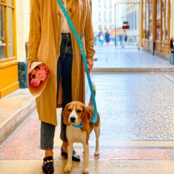 Pop Dog - Collier Dragueur Bleu Pour Chien - L 8 Pop Dog - Collier Dragueur Bleu Pour Chien - L -Chats Chiens Articles Magasin 68963