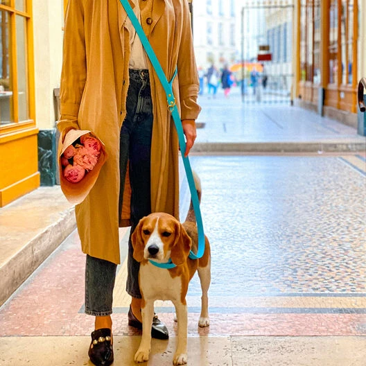 Pop Dog - Collier Dragueur Bleu Pour Chien - L 5 Pop Dog - Collier Dragueur Bleu Pour Chien - L – Image 3