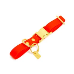Pop Dog - Collier Foufou Orange Pour Chien - M