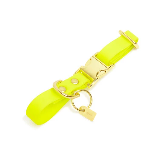 Pop Dog - Collier Joyeux Jaune Pour Chien - S 3 Pop Dog - Collier Joyeux Jaune Pour Chien - S