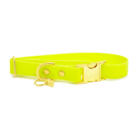 Pop Dog - Collier Joyeux Jaune Pour Chien - S 4 Pop Dog - Collier Joyeux Jaune Pour Chien - S – Image 2