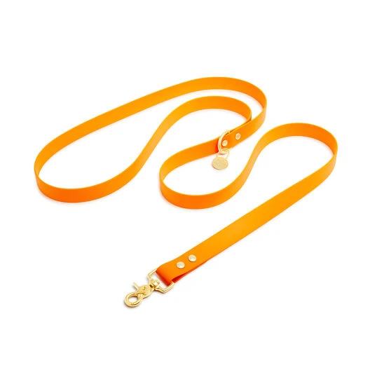 Pop Dog - Laisse Bandoulière Pitchoune Orange Pour Chien - XS/S 3 Pop Dog - Laisse Bandoulière Pitchoune Orange Pour Chien - XS/S