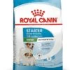 Royal Canin - Croquettes Mini Starter Mother & Babydog Pour Chiot - 4Kg -Chats Chiens Articles Magasin 72498