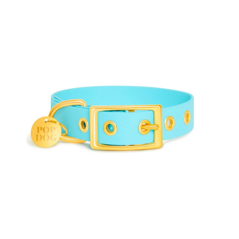 Pop Dog - Collier à Œillet Dragueur Bleu Pour Chien - L 4 Pop Dog - Collier à Œillet Dragueur Bleu Pour Chien - L – Image 2