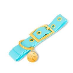Pop Dog - Collier à Œillet Dragueur Bleu Pour Chien - L