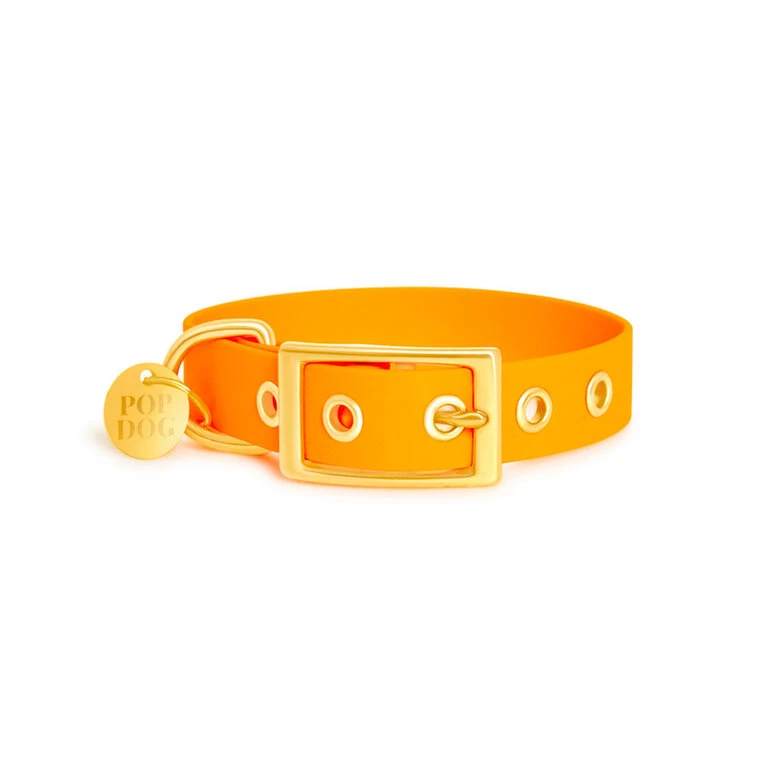 Pop Dog - Collier à Œillet Pitchoune Orange Pour Chien - M 4 Pop Dog - Collier à Œillet Pitchoune Orange Pour Chien - M – Image 2