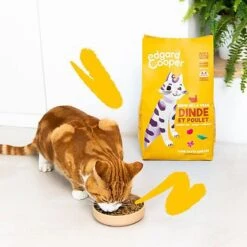 Edgard & Cooper - Croquettes à La Dinde Et Au Poulet Pour Chat Adulte - 2Kg 10 Edgard & Cooper - Croquettes à La Dinde Et Au Poulet Pour Chat Adulte - 2Kg -Chats Chiens Articles Magasin 73096