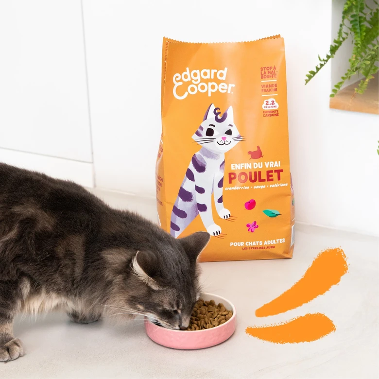 Edgard & Cooper - Croquettes Au Poulet Pour Chat Adulte - 4Kg 5 Edgard & Cooper - Croquettes Au Poulet Pour Chat Adulte - 4Kg – Image 3