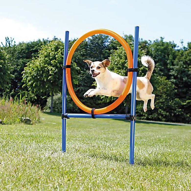 Trixie - Anneau Fun Agility Pour Chien - 115xØ3cm 4 Trixie - Anneau Fun Agility Pour Chien - 115xØ3cm – Image 2