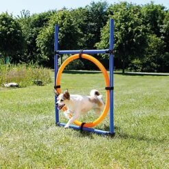 Trixie - Anneau Fun Agility Pour Chien - 115xØ3cm 7 Trixie - Anneau Fun Agility Pour Chien - 115xØ3cm -Chats Chiens Articles Magasin 73664