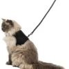 Trixie - Harnais Doux Avec Laisse Noir Pour Chat - XXL -Chats Chiens Articles Magasin 73702