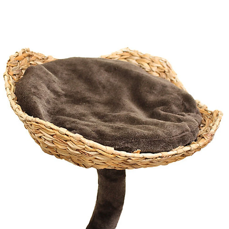 Croci - Arbre à Chat Natural Magnolia Pour Chat - 99cm 7 Croci - Arbre à Chat Natural Magnolia Pour Chat - 99cm – Image 5