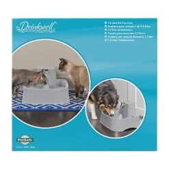 PetSafe - Fontaine Drinkwell En Plastique Sans BPA Pour Chiens - 7,5L