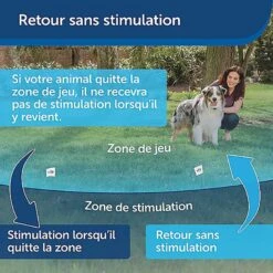 PetSafe - Kit Clôture Wireless Pour Chiens 11 PetSafe - Kit Clôture Wireless Pour Chiens -Chats Chiens Articles Magasin 74223