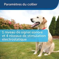 PetSafe - Kit Clôture Wireless Pour Chiens 13 PetSafe - Kit Clôture Wireless Pour Chiens -Chats Chiens Articles Magasin 74227