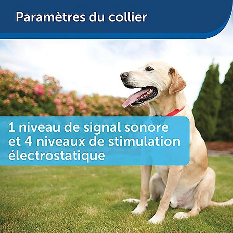 PetSafe - Kit Clôture Wireless Pour Chiens 7 PetSafe - Kit Clôture Wireless Pour Chiens – Image 5