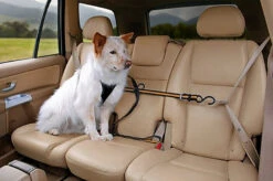 Kurgo - Tyrolienne De Sécurité ZIP LINE Pour Chiens 14 Kurgo - Tyrolienne De Sécurité ZIP LINE Pour Chiens -Chats Chiens Articles Magasin 74247