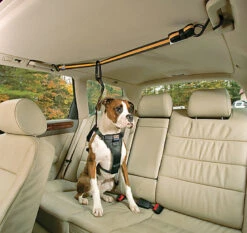 Kurgo - Tyrolienne De Sécurité ZIP LINE Pour Chiens 13 Kurgo - Tyrolienne De Sécurité ZIP LINE Pour Chiens -Chats Chiens Articles Magasin 74248