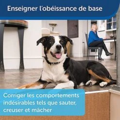 PetSafe - Système D'Aide à L'Education Pour Chiens - 100m -Chats Chiens Articles Magasin 74255