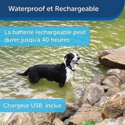 PetSafe - Système D'Aide à L'Education Pour Chiens - 100m -Chats Chiens Articles Magasin 74259