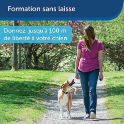 PetSafe - Système D'Aide à L'Education Pour Chiens - 100m -Chats Chiens Articles Magasin 74261