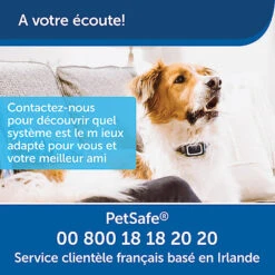 PetSafe - Système D'Aide à L'Education Pour Chiens - 100m -Chats Chiens Articles Magasin 74270