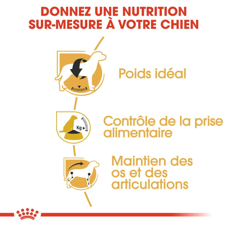 Royal Canin - Croquettes Beagle Adult Pour Chien - 12Kg 6 Royal Canin - Croquettes Beagle Adult Pour Chien - 12Kg – Image 4