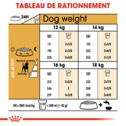 Royal Canin - Croquettes Beagle Adult Pour Chien - 12Kg 12 Royal Canin - Croquettes Beagle Adult Pour Chien - 12Kg -Chats Chiens Articles Magasin 74326