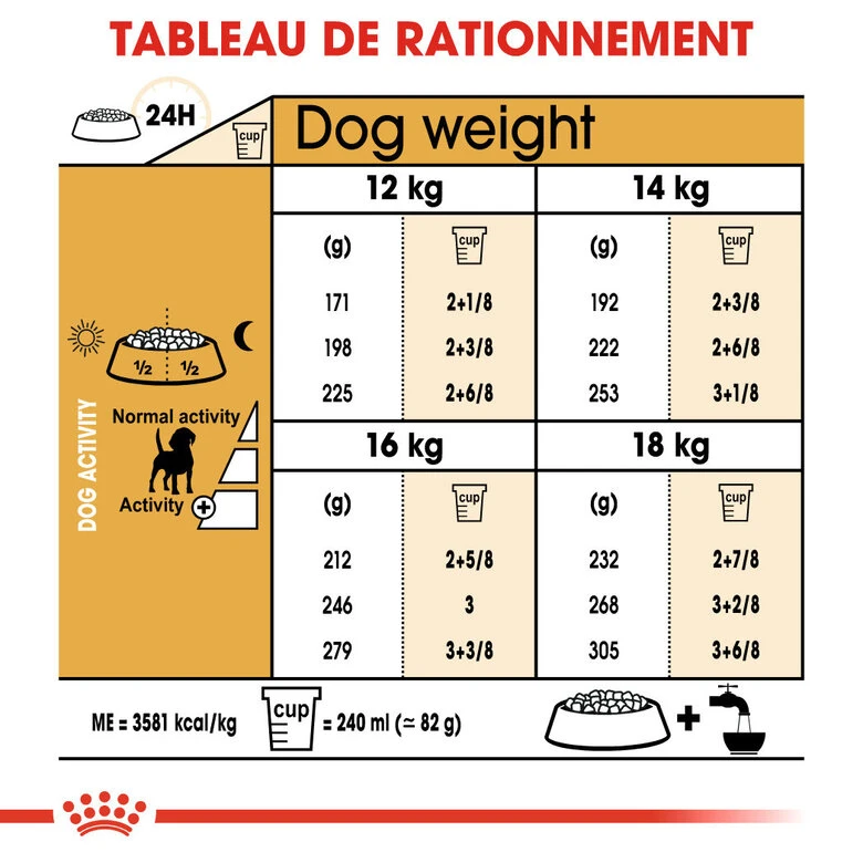 Royal Canin - Croquettes Beagle Adult Pour Chien - 12Kg 7 Royal Canin - Croquettes Beagle Adult Pour Chien - 12Kg – Image 5