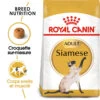 Royal Canin - Croquettes Siamese Adult Pour Chats - 2Kg 2 Royal Canin - Croquettes Siamese Adult Pour Chats - 2Kg -Chats Chiens Articles Magasin 74346