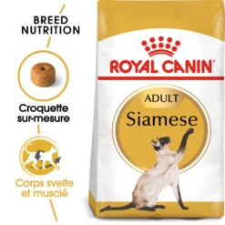 Royal Canin - Croquettes Siamese Adult Pour Chats - 2Kg
