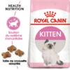 Royal Canin - Croquettes Kitten Second Age Pour Chatons - 10Kg 1 Royal Canin - Croquettes Kitten Second Age Pour Chatons - 10Kg -Chats Chiens Articles Magasin 74360