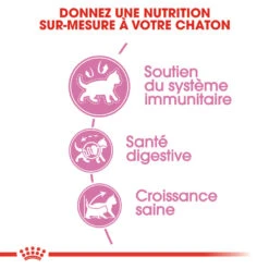 Royal Canin - Croquettes Kitten Second Age Pour Chatons - 10Kg -Chats Chiens Articles Magasin 74361