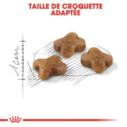 Royal Canin - Croquettes Kitten Second Age Pour Chatons - 10Kg -Chats Chiens Articles Magasin 74362