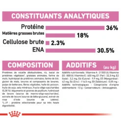 Royal Canin - Croquettes Kitten Second Age Pour Chatons - 10Kg -Chats Chiens Articles Magasin 74364