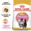 Royal Canin - Croquettes Persian Kitten Pour Chatons - 2Kg -Chats Chiens Articles Magasin 74371