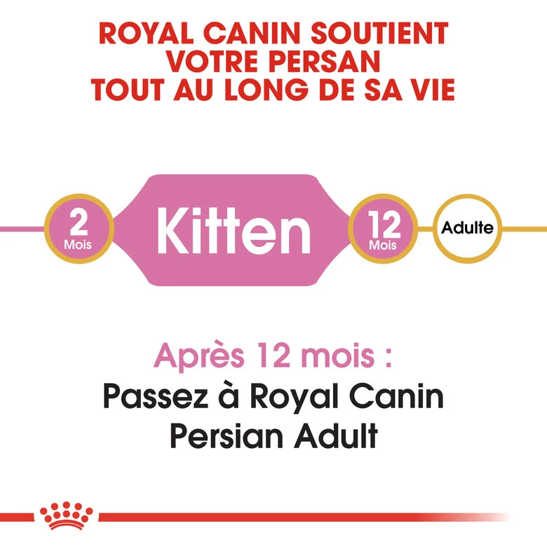 Royal Canin - Croquettes Persian Kitten Pour Chatons - 2Kg 4 Royal Canin - Croquettes Persian Kitten Pour Chatons - 2Kg – Image 2
